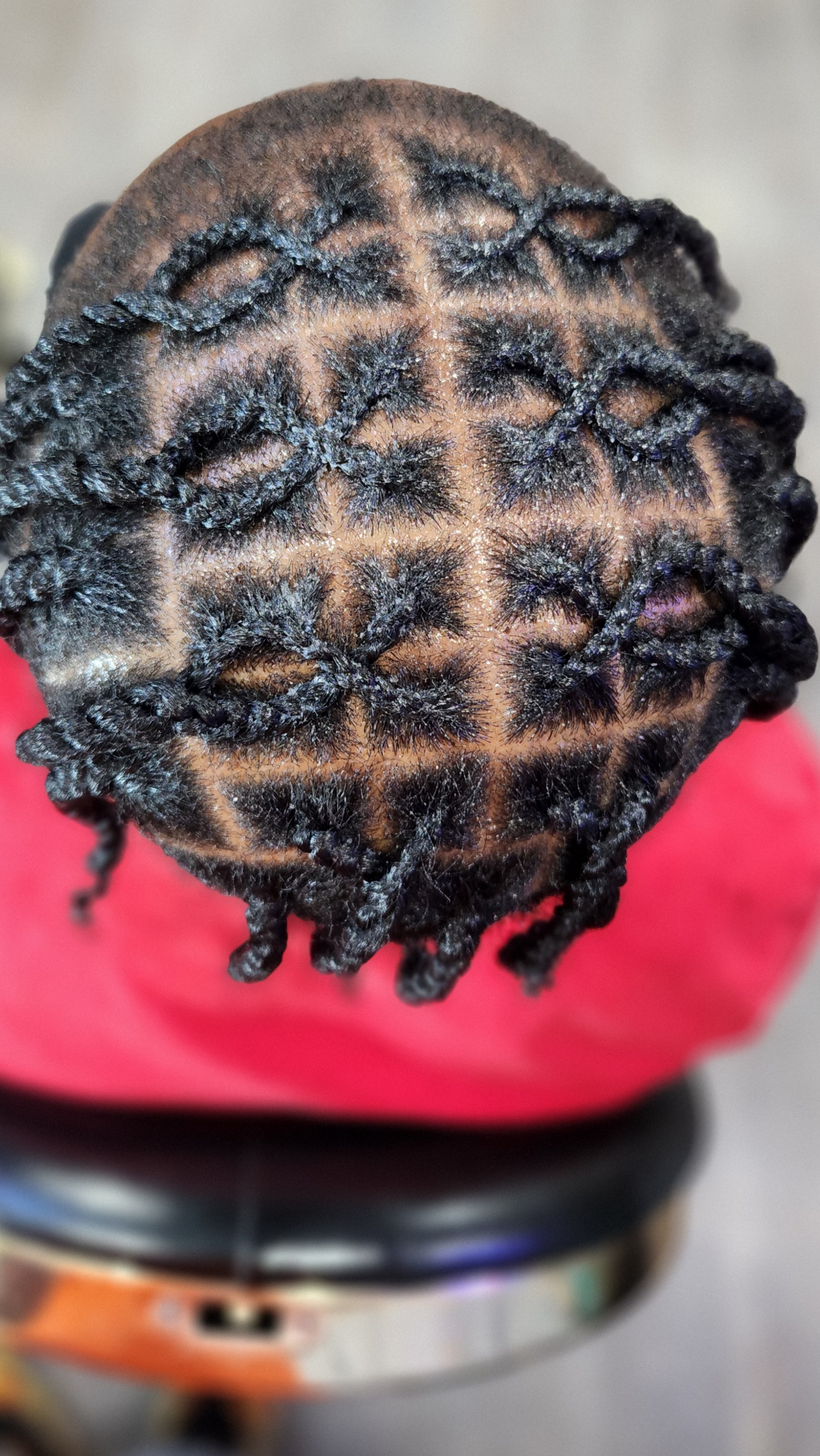 Braids photo